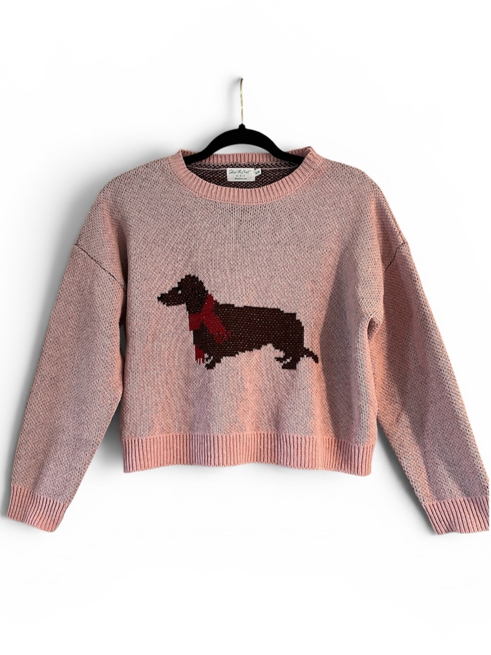 Pink Dog-Intarsia Crewneck Sweater